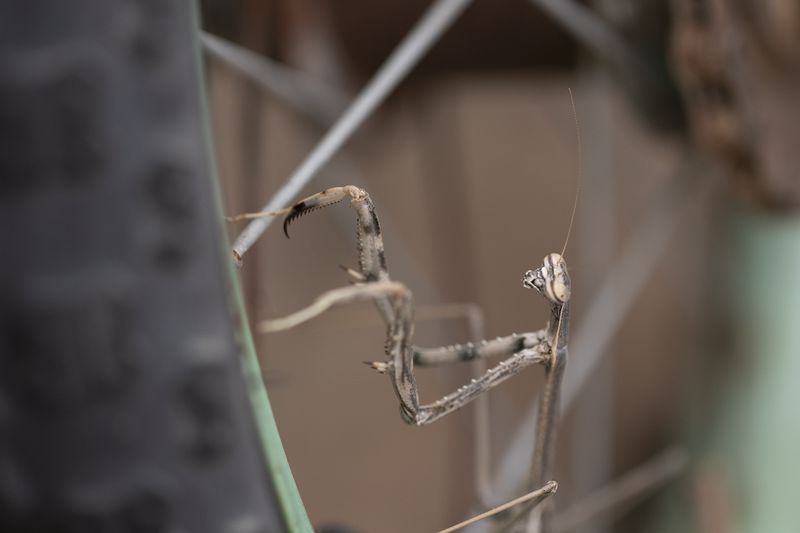 מוקטן 8_800x533.jpg