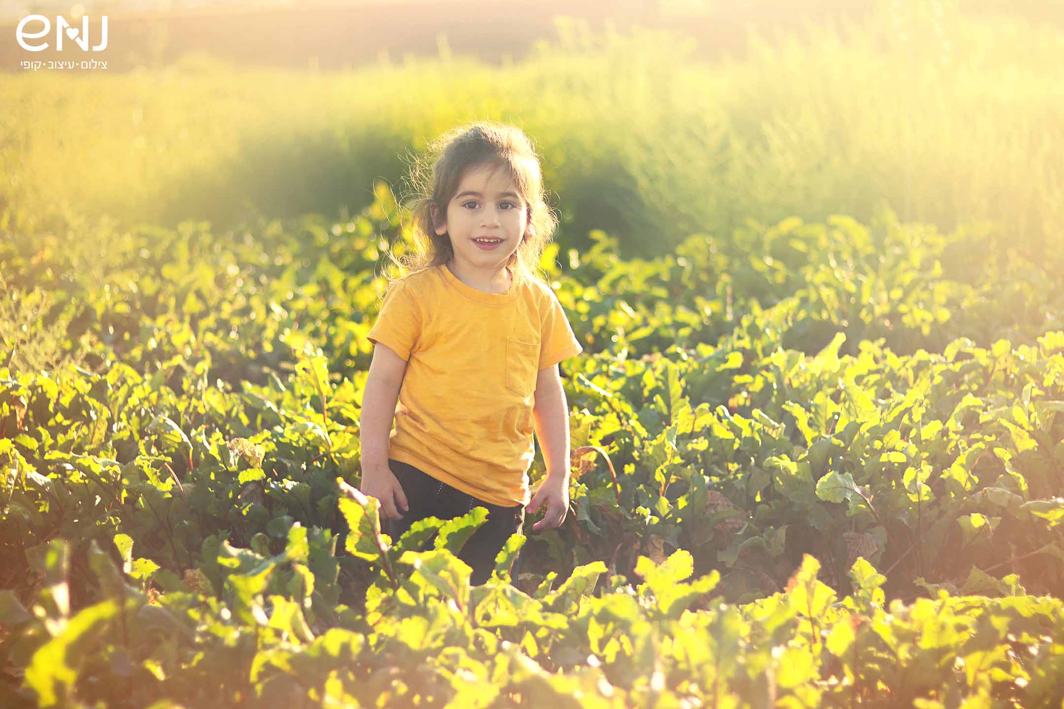 מוקט לוגו.jpg