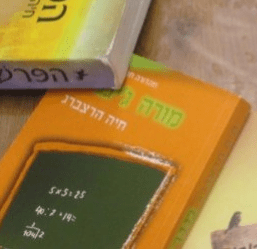 מורה ג'ינג'ית.PNG