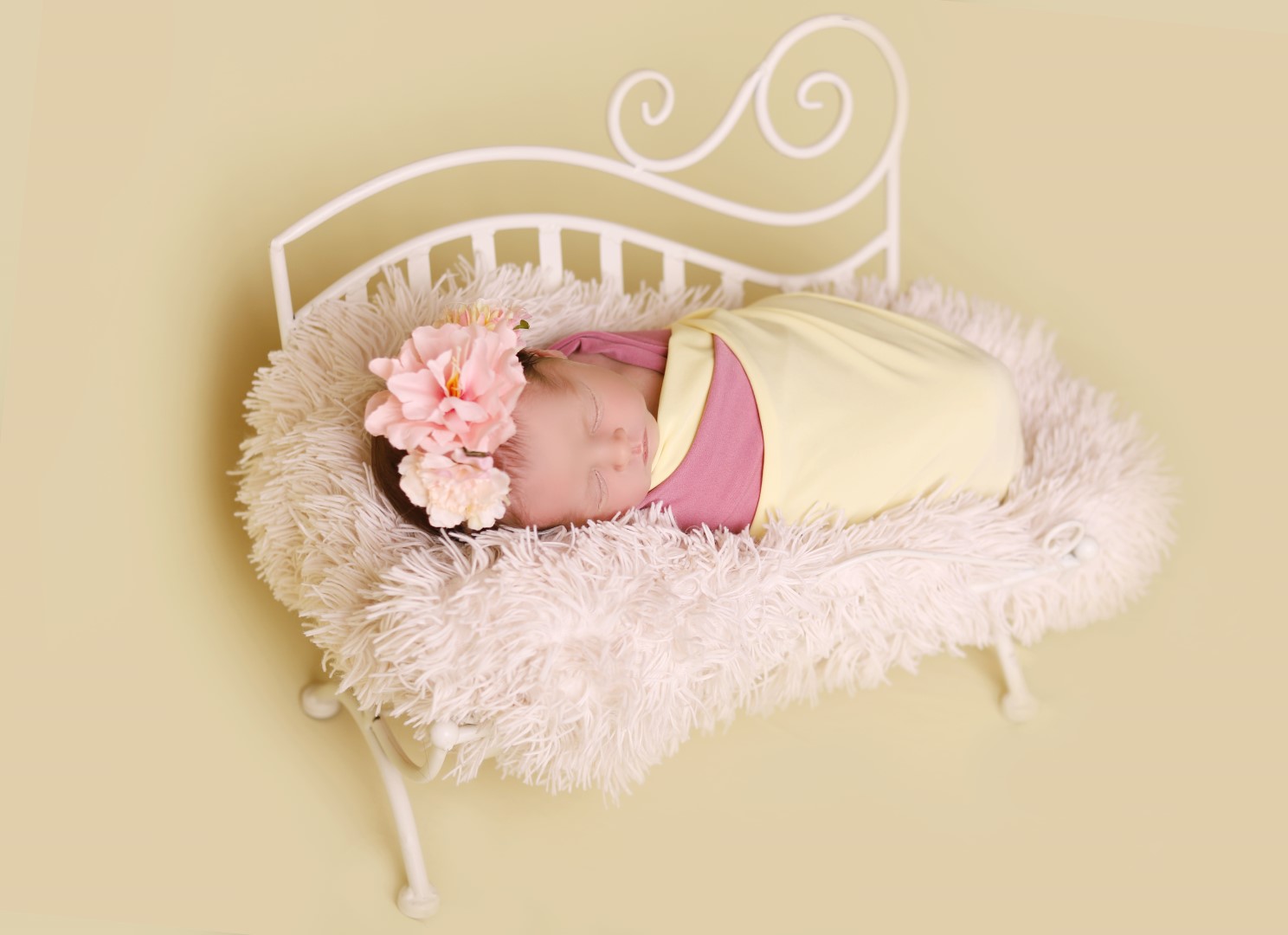 מותתת (Large).jpg