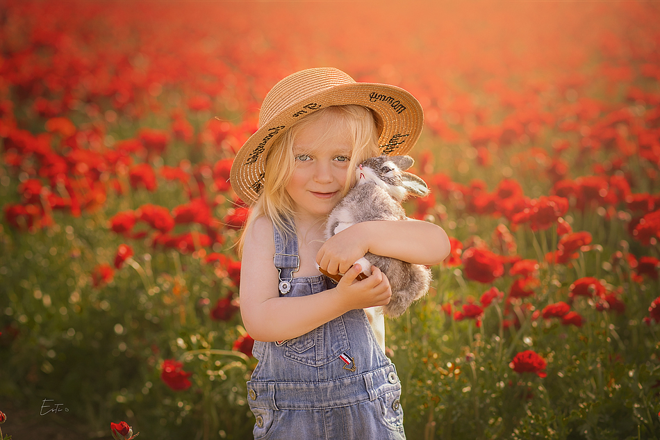 מחזיק ארנבת ממ.jpg
