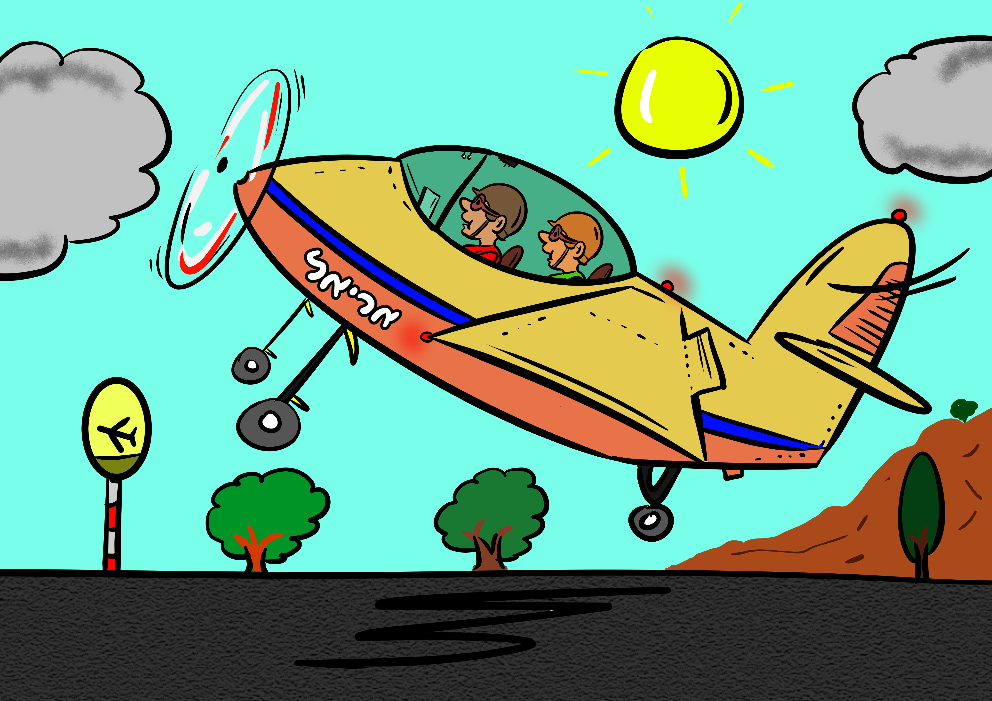 מטוס צבוע.jpg