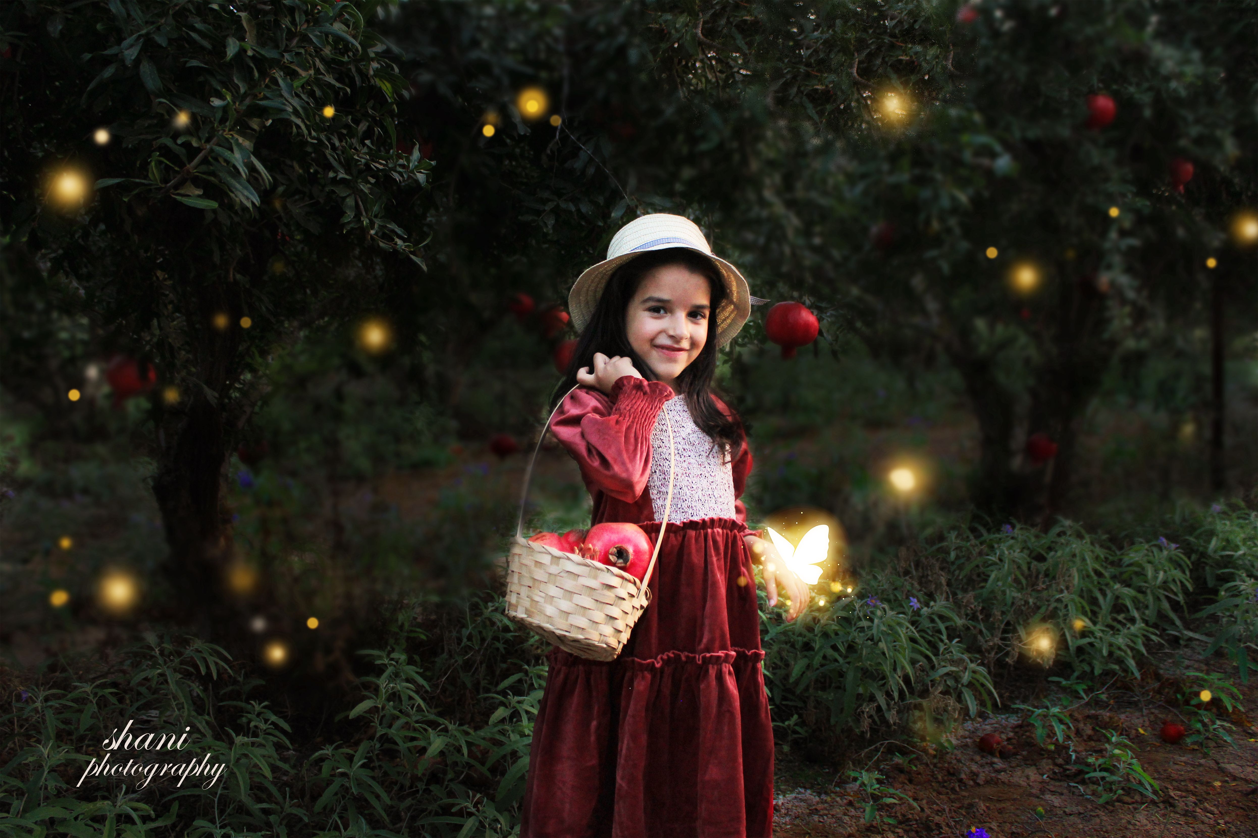 מטע רימונים3בהיר.jpg