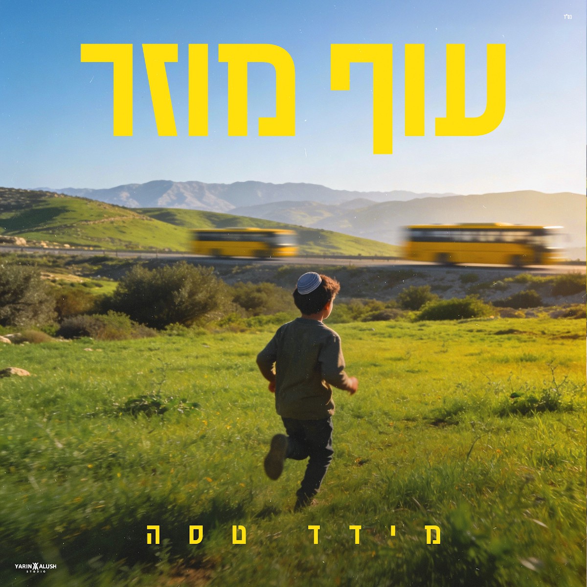 מידד טסה - עוף מוזר.jpg
