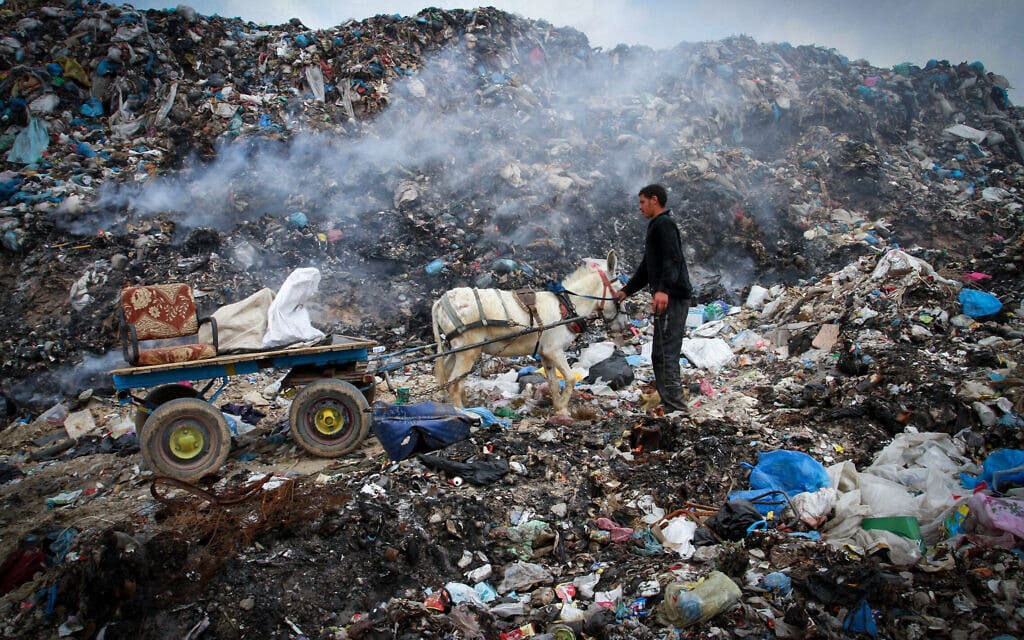 מיזבלה ומריצה.jpg