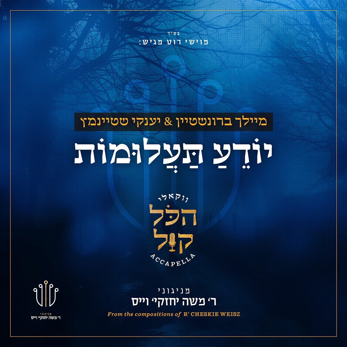 מיילך ברוינשטיין & יענקי שטיינמץ - יודע תעלומות - ווקאלי.jpg