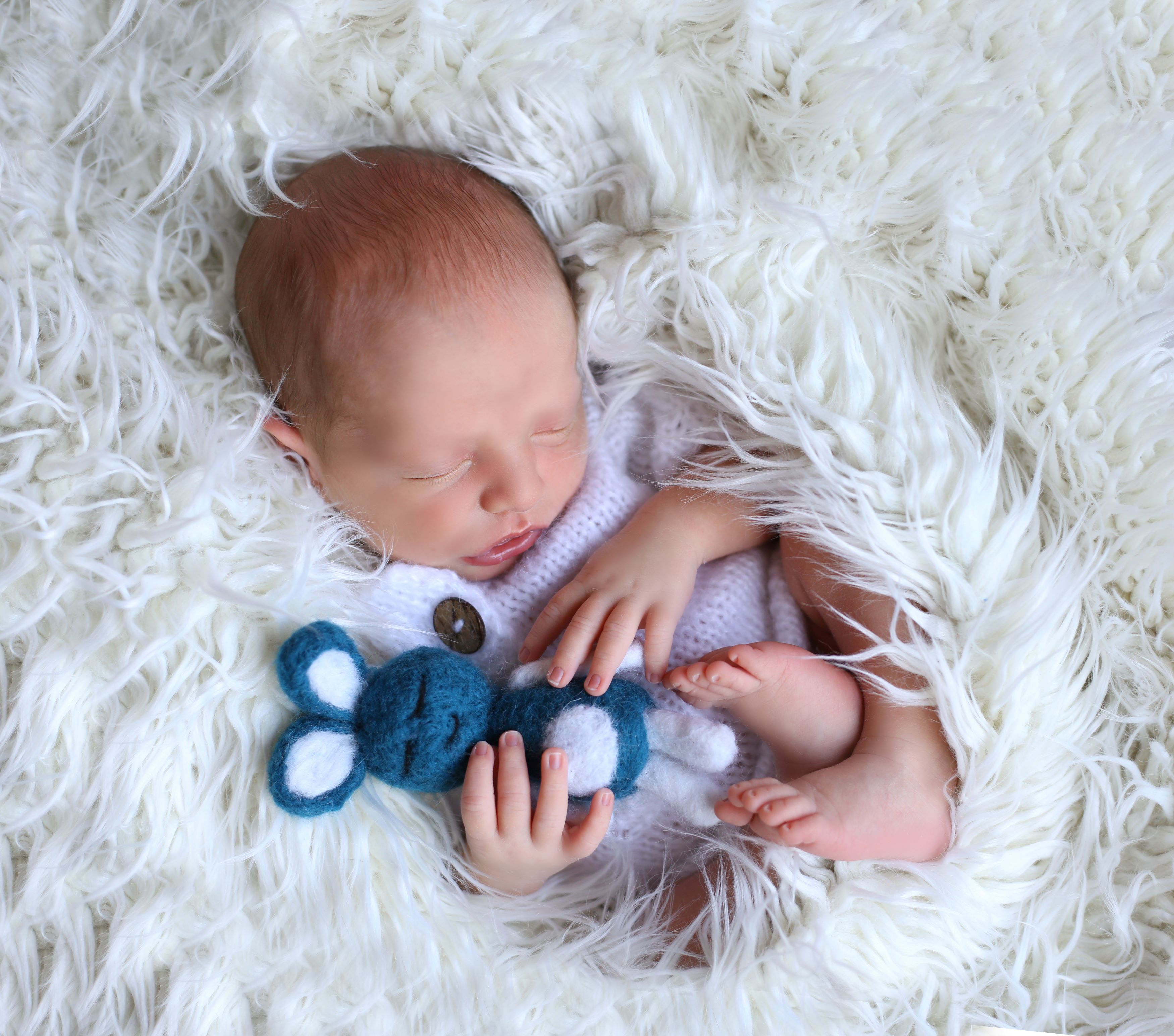 מיכאל הוניגסברג.jpg