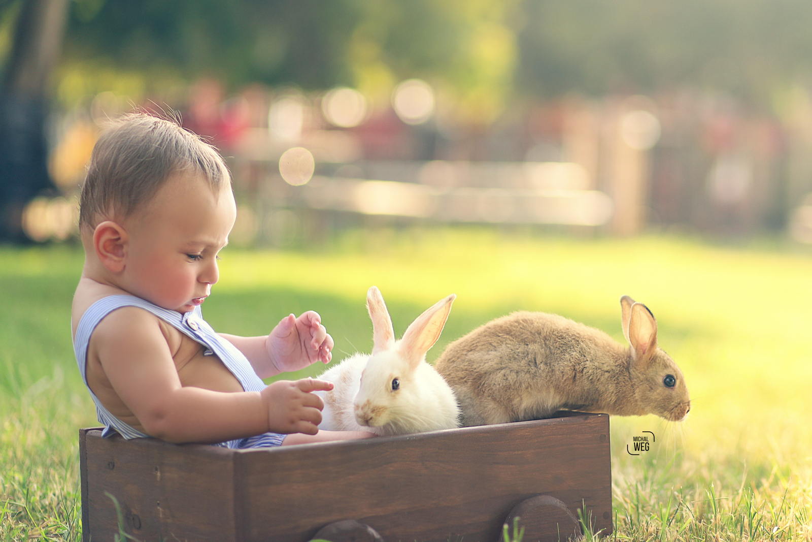 מיכל 0527166507 (3).jpg