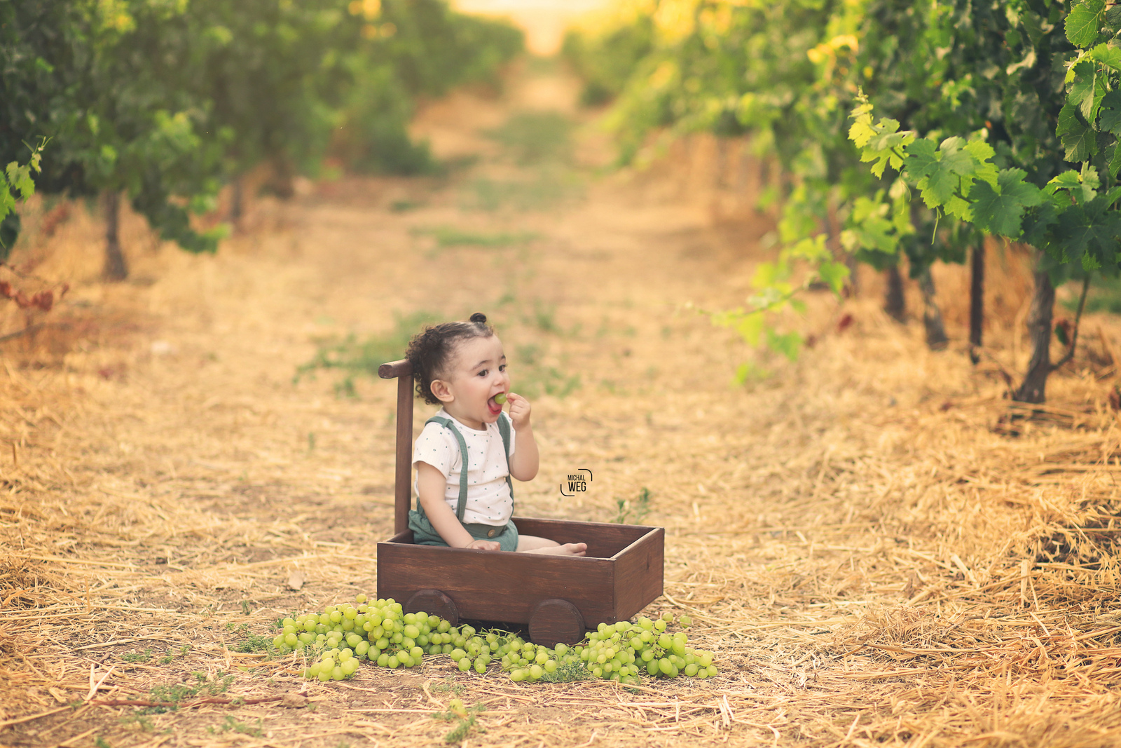 מיכל 0527166507 (5).jpg