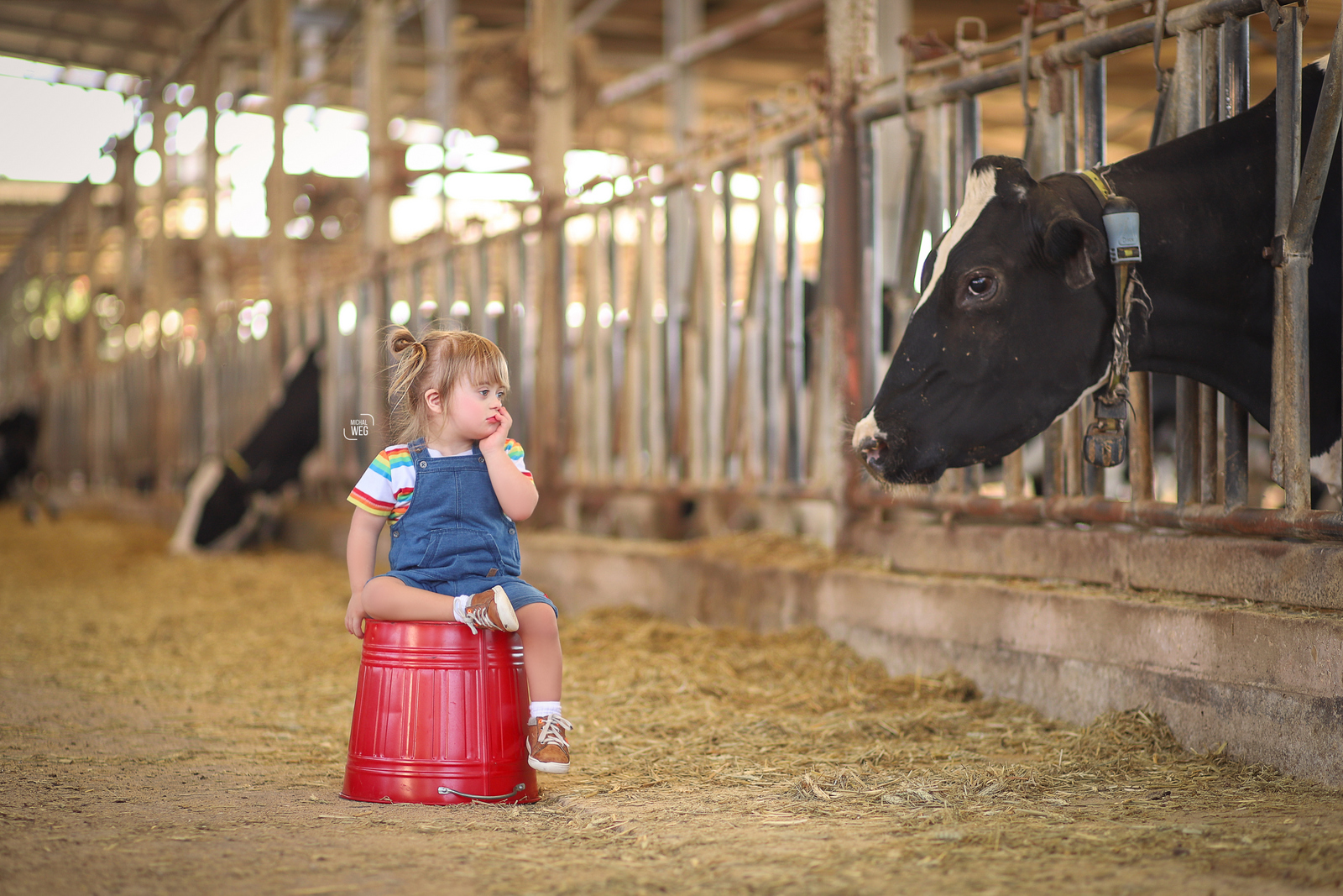 מיכל 0527166507 (8).jpg