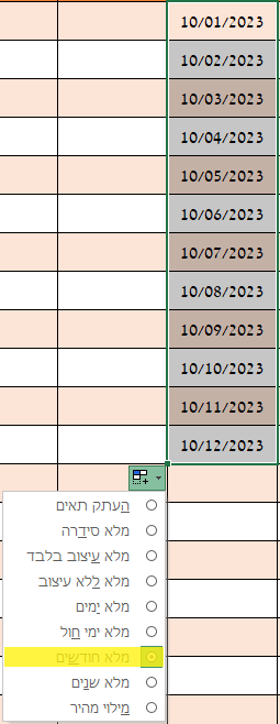 מילוי חודשים.png