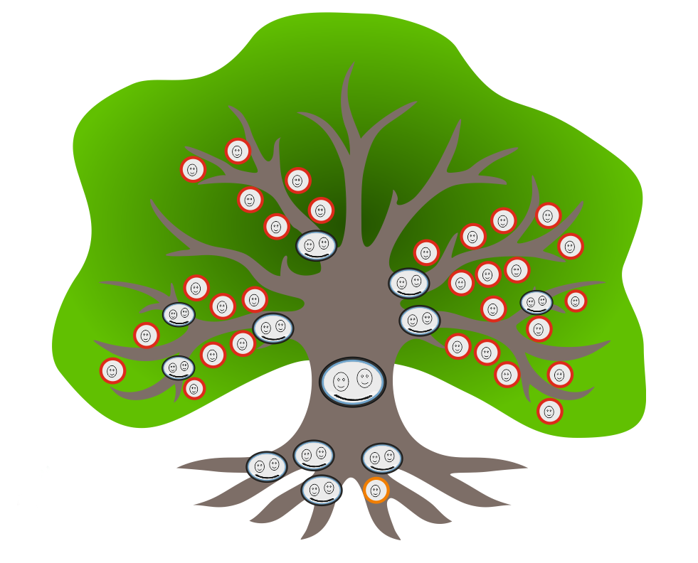 מילוי פרטים.png