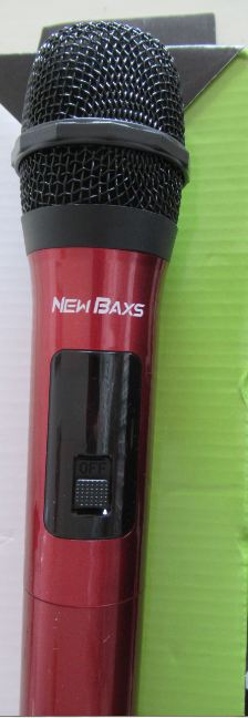 מיקרופון.JPG
