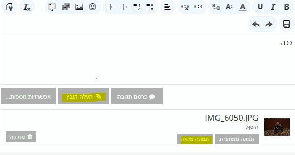מירי.JPG