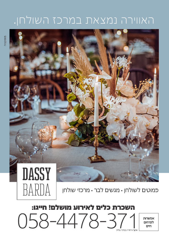 מיתוג דסי6.jpg