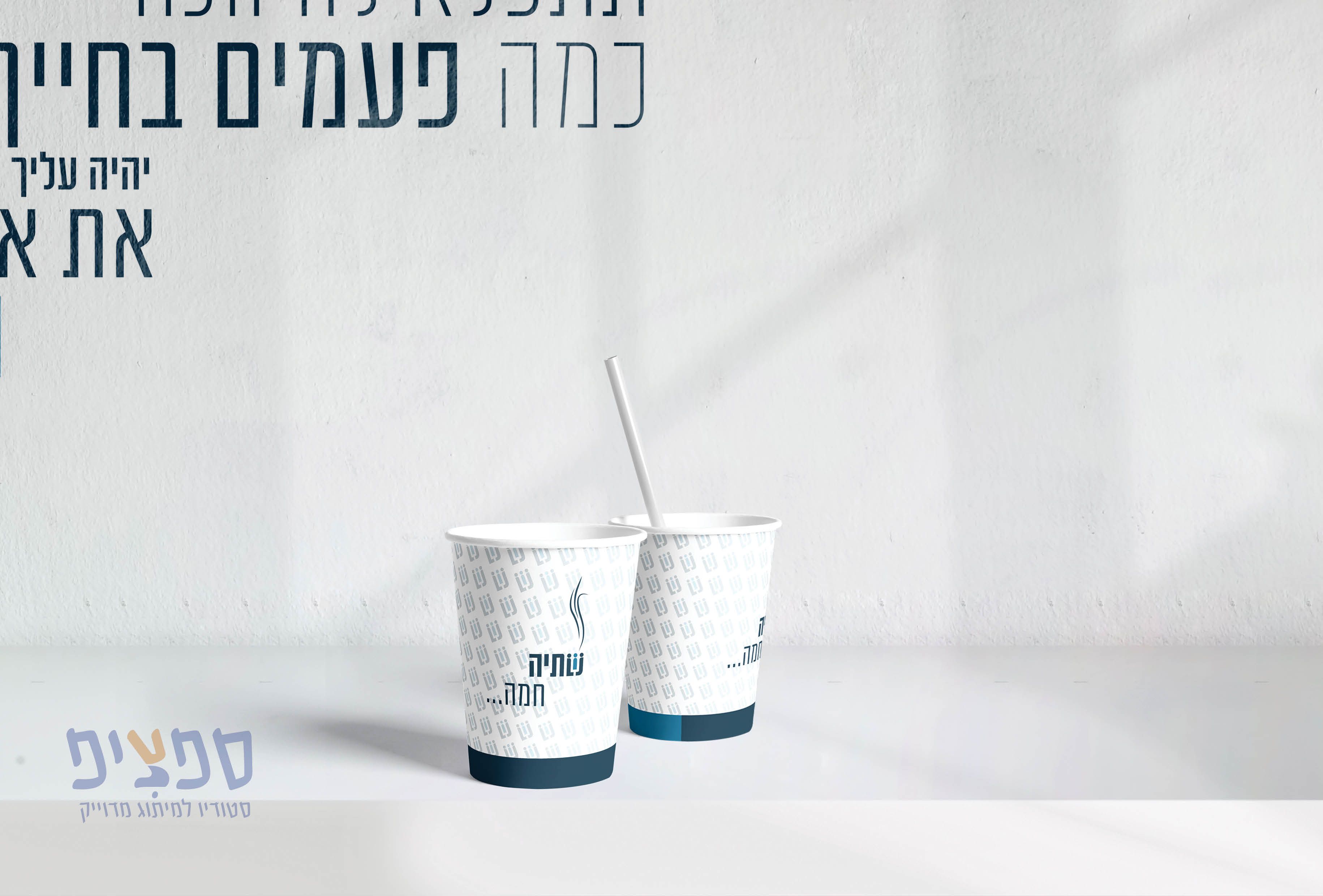 מיתוג פישר5.jpg