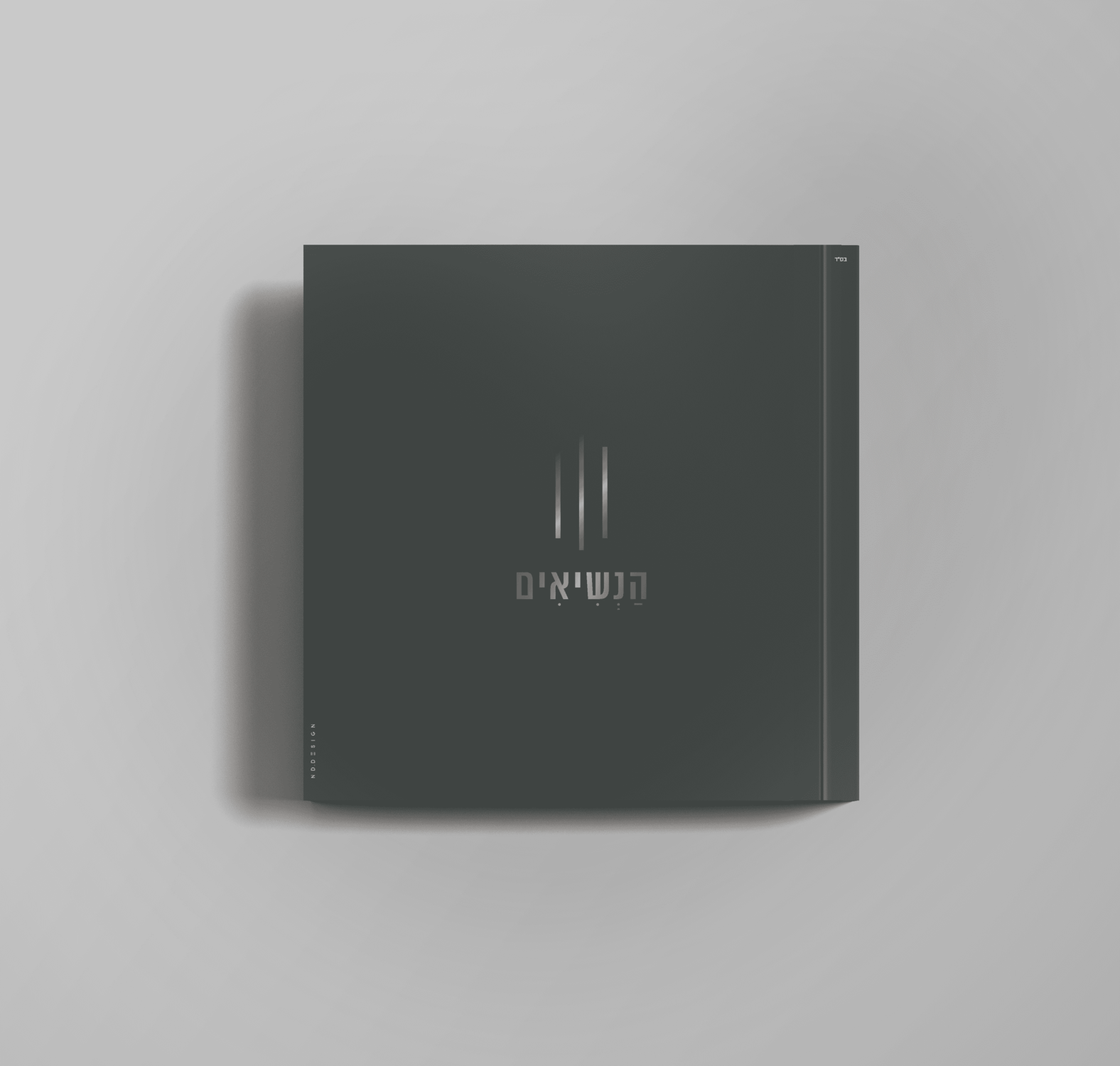 מיתוג פרוייקט  בינוי פינוי הנשיאים יבנה (1).png