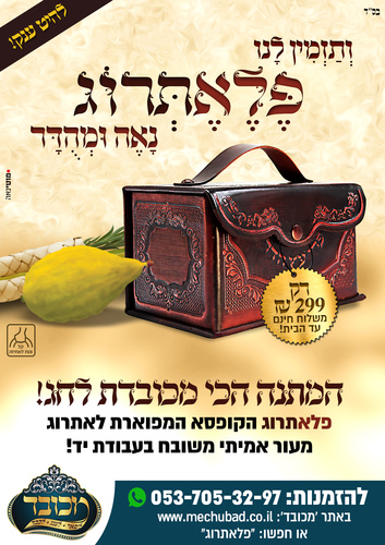 מכובד.jpg