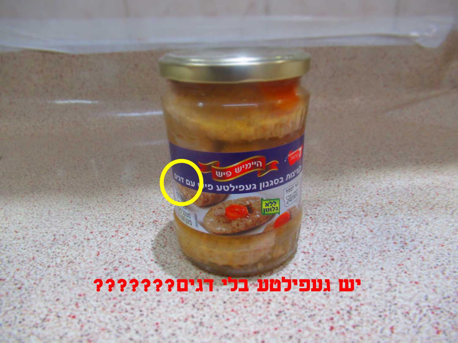 -מכיל-דג.jpg
