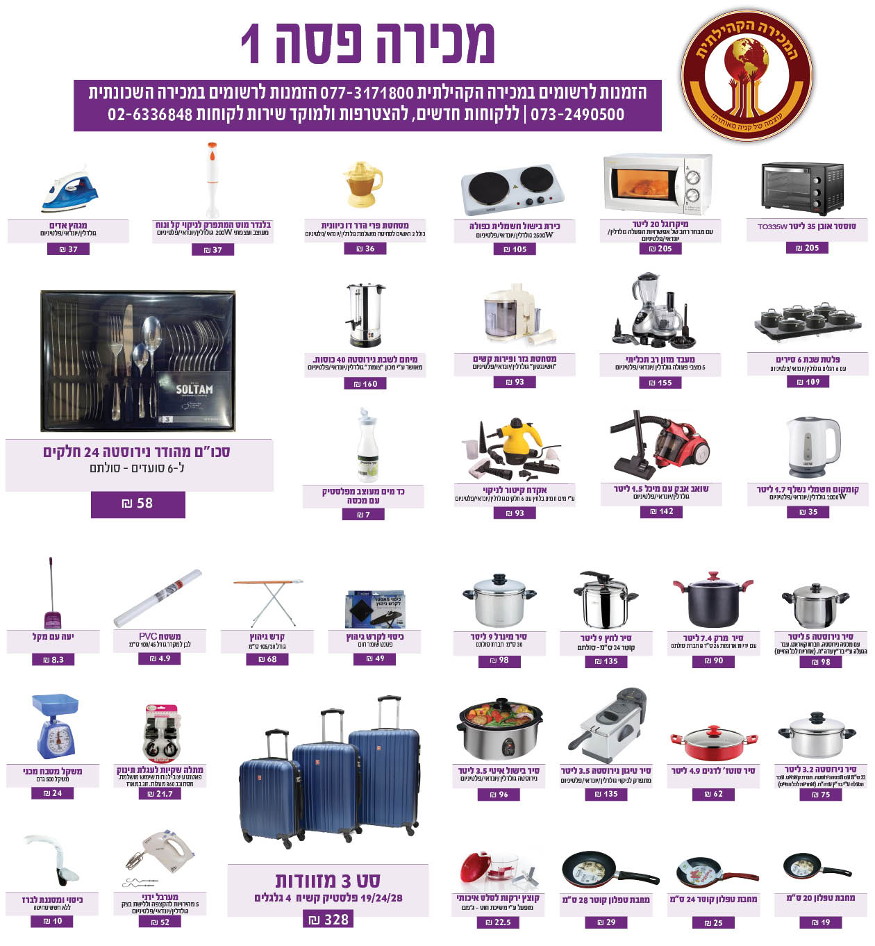 מכירה פסה 1.jpg