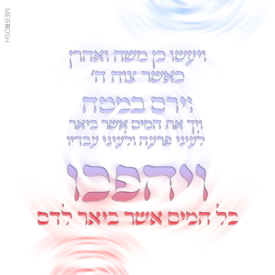 מכת דם MeirRoshDesign2.jpg