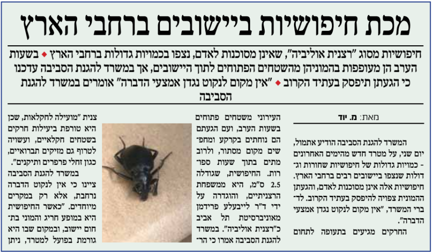 מכת חיפושיות ביישובים ברחבי הארץ.png