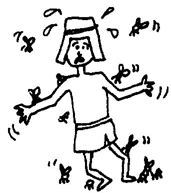 מכת  כינים.jpg