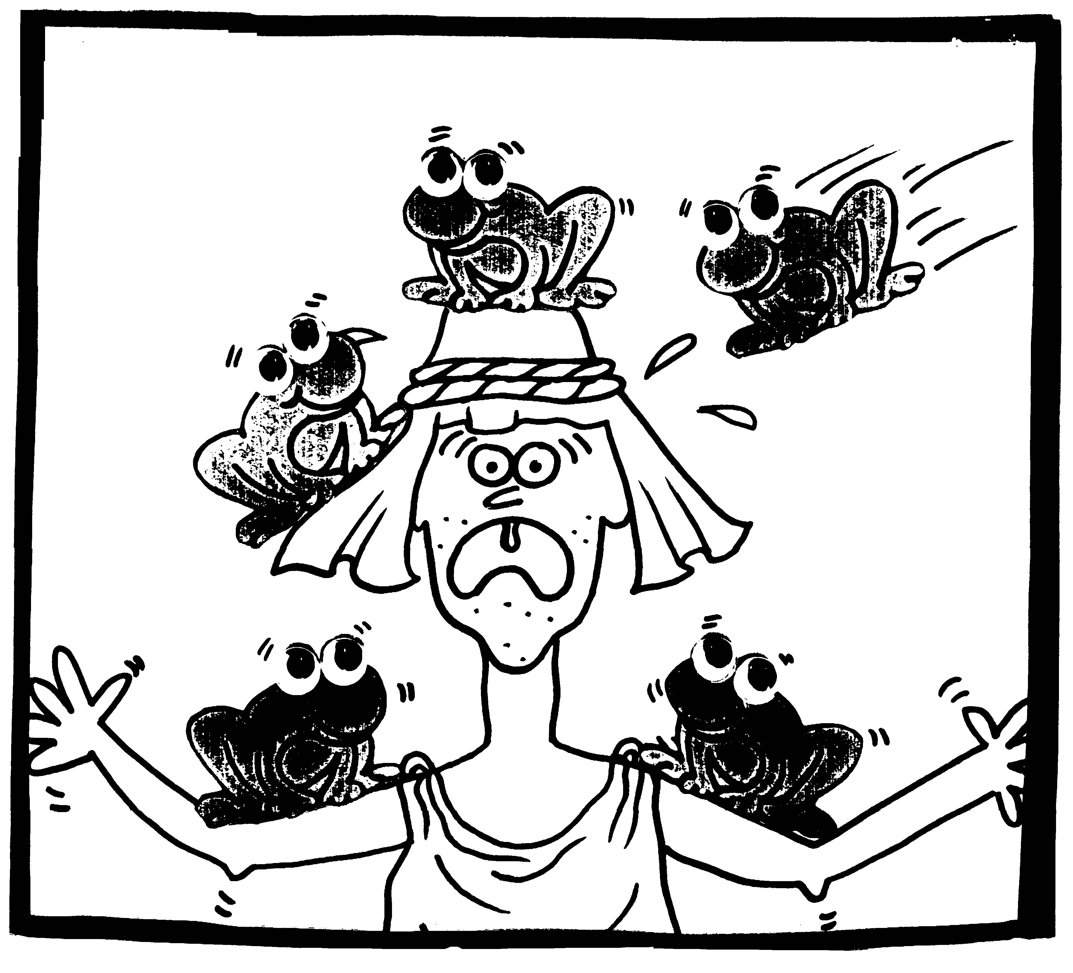 מכת  צפרדע2.jpg