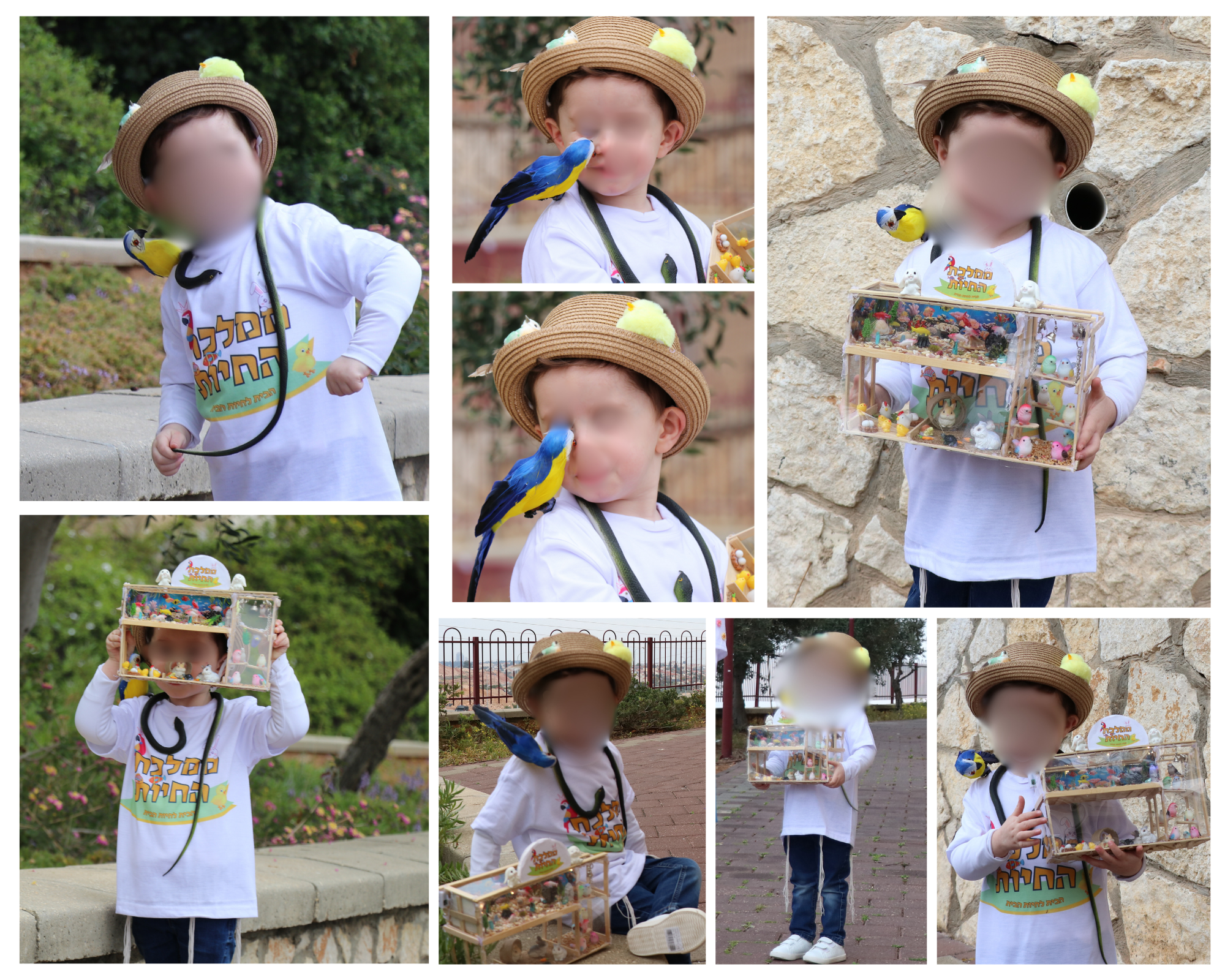 ממלכת החיות.png