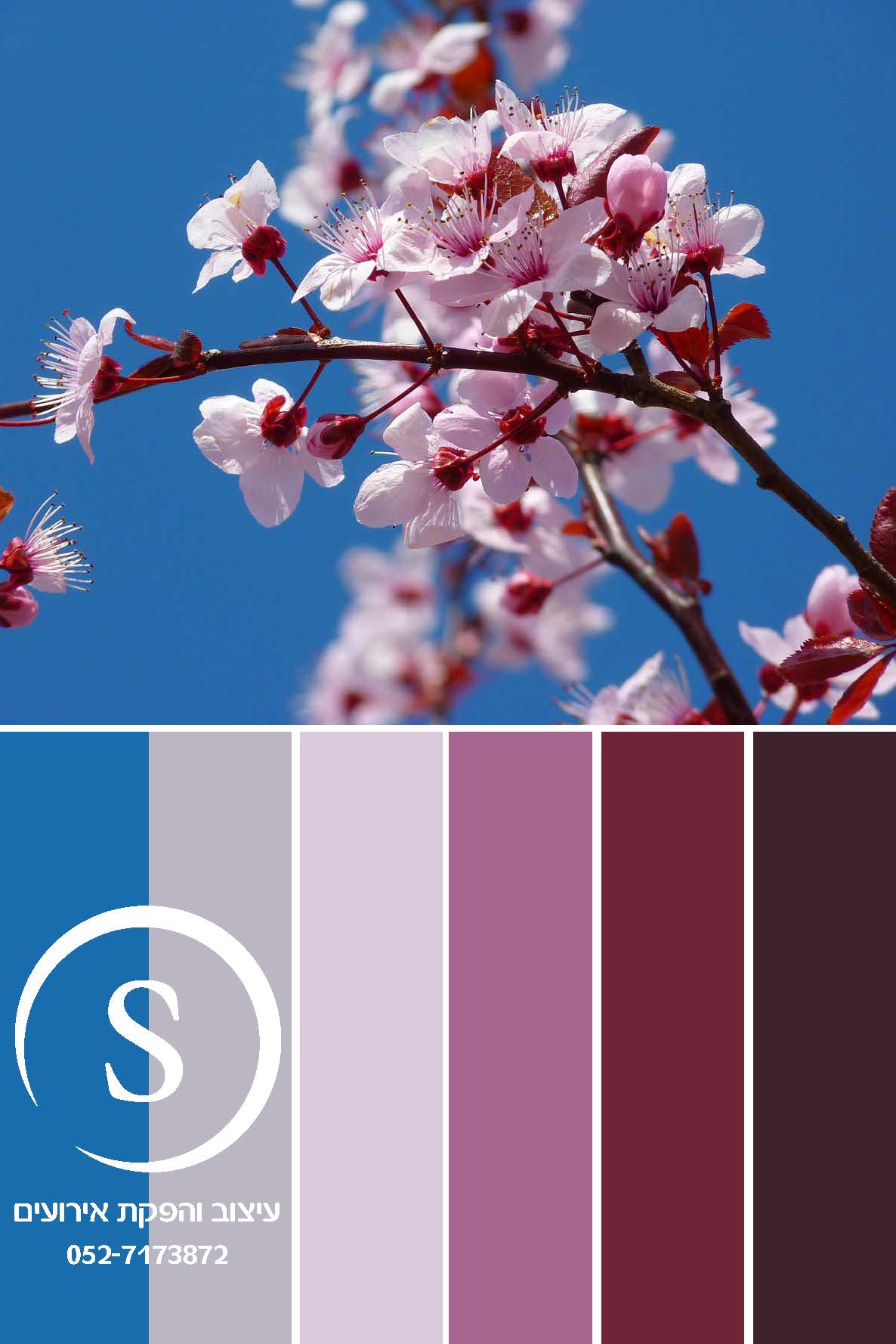 מניפת צבעים 1.jpg