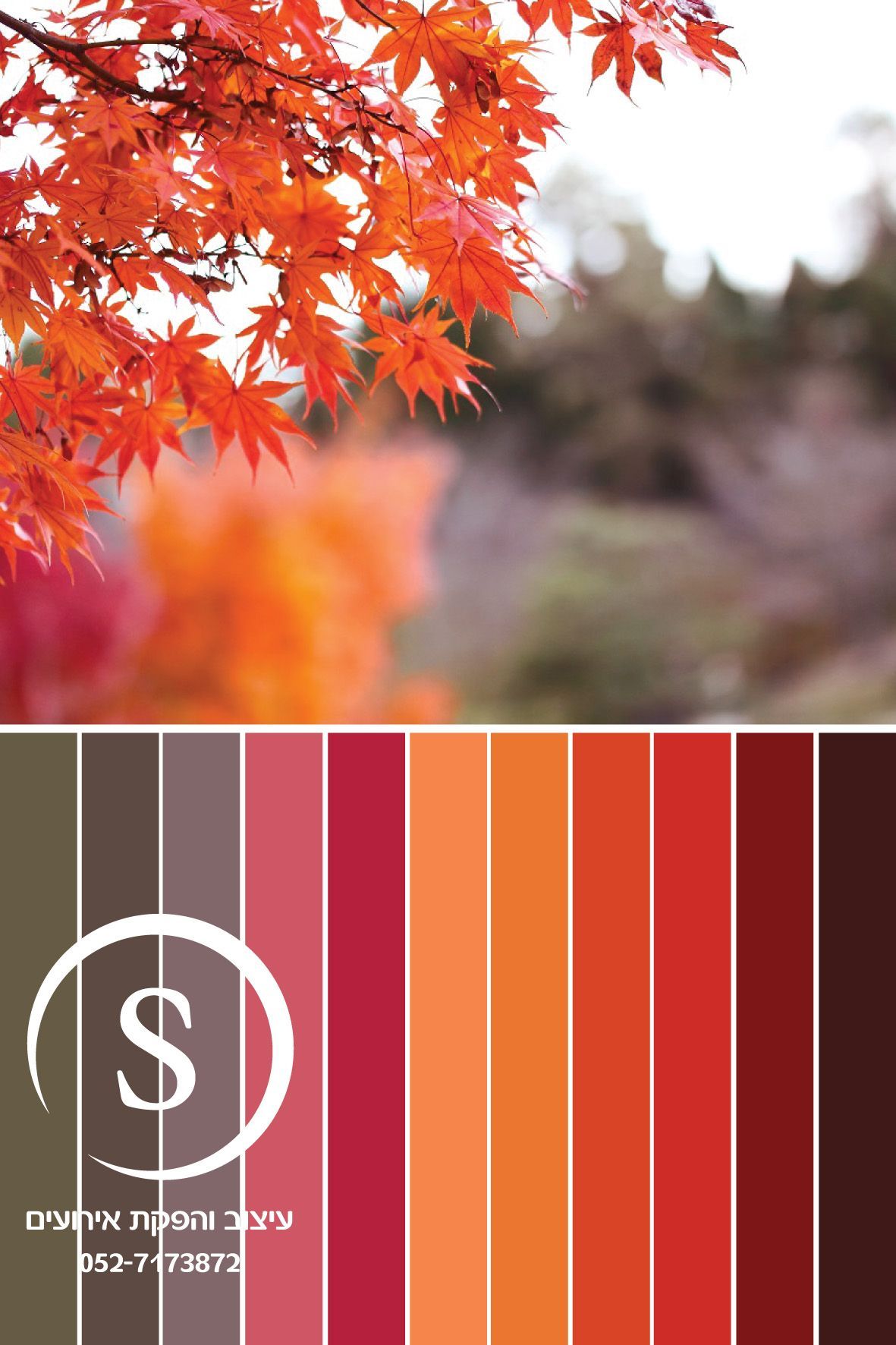 מניפת צבעים 2.jpg