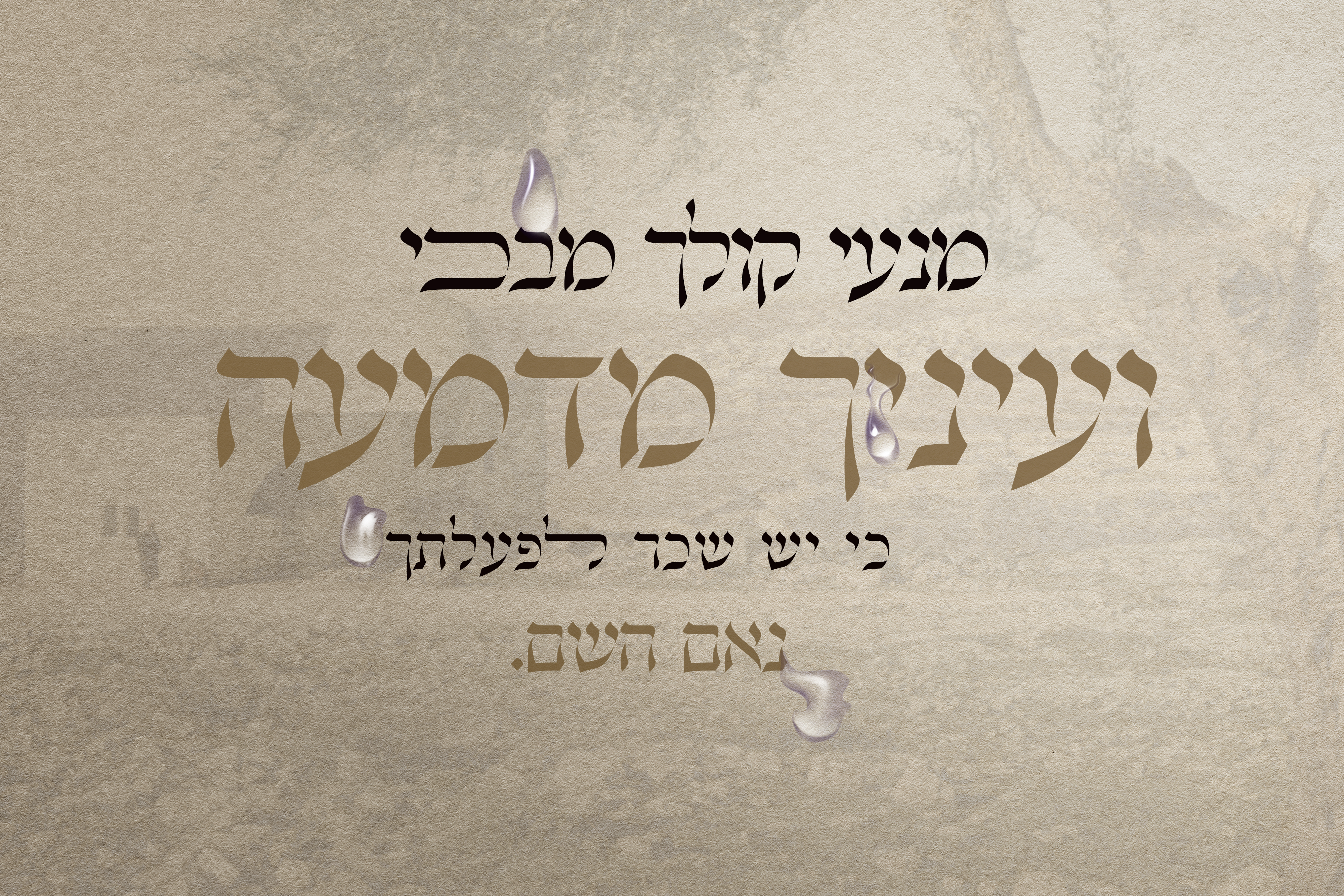 מנעי קולך copy.jpg