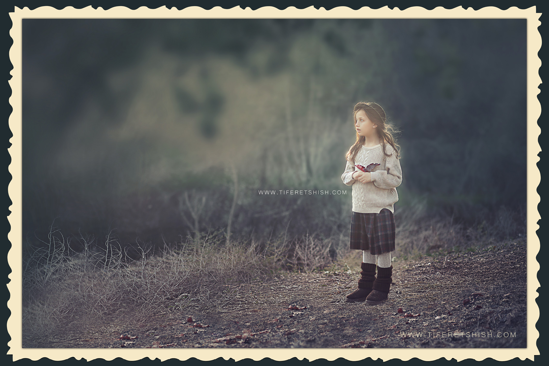 מסגרת סתיו 01.jpg