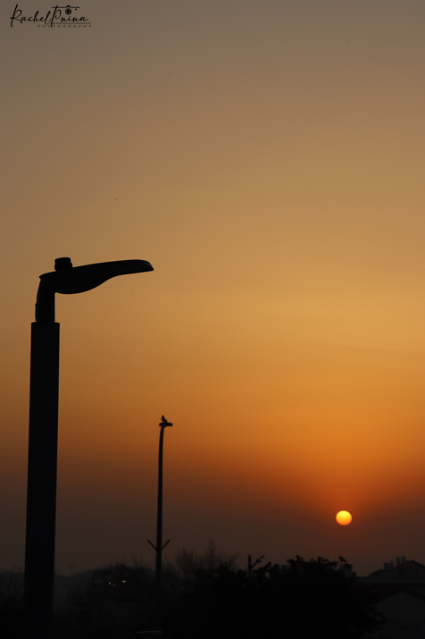 מסדרון השמש.png