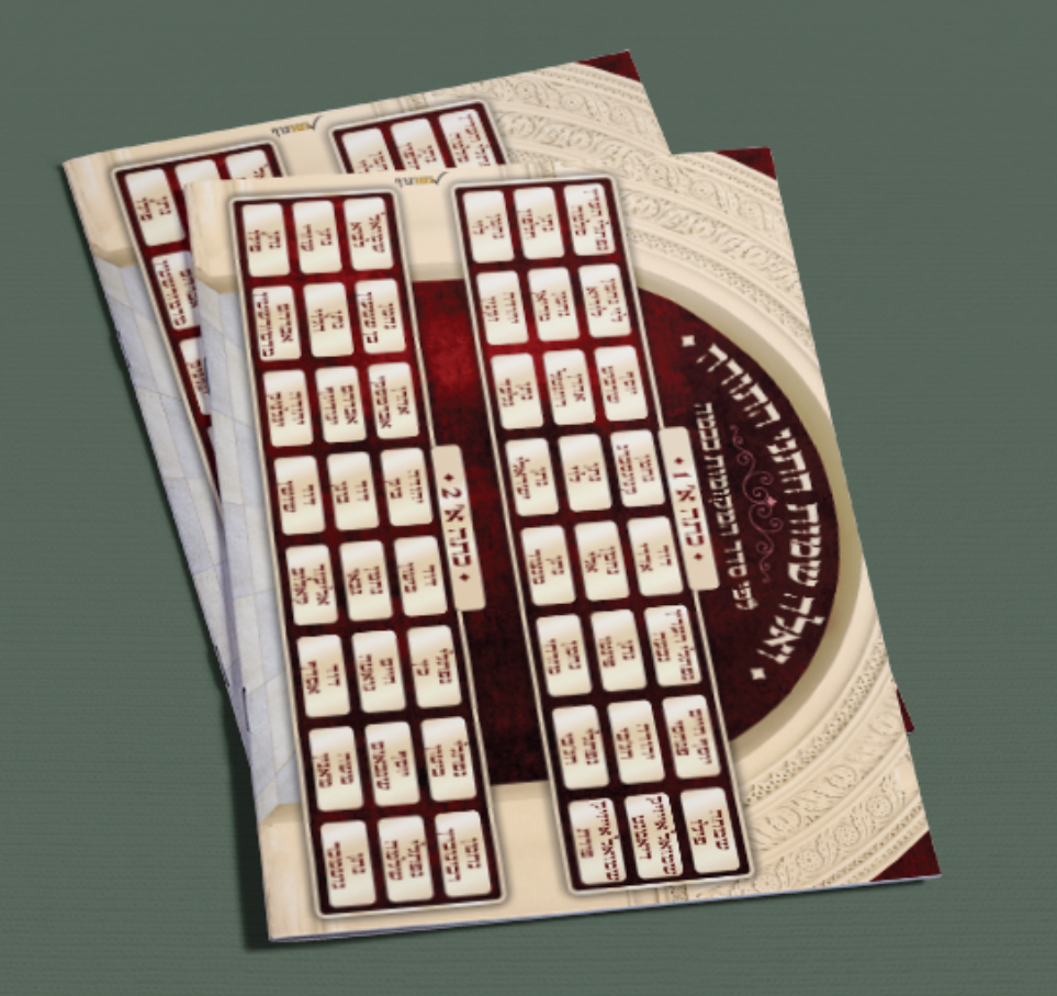 מסיבת חומש כריכה אחורית.PNG