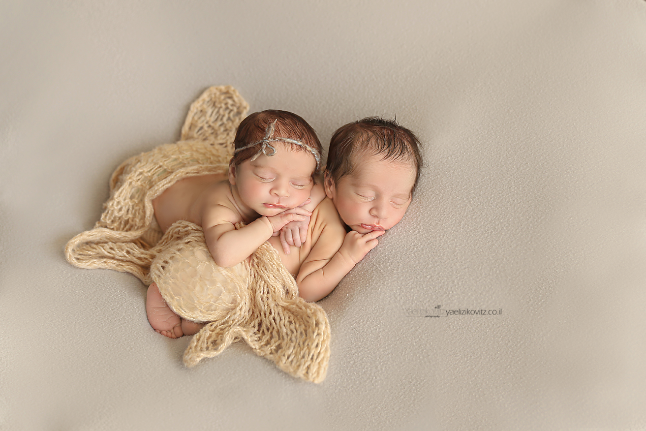 מעובדתאומים דיין (78)-מוקטן.jpg