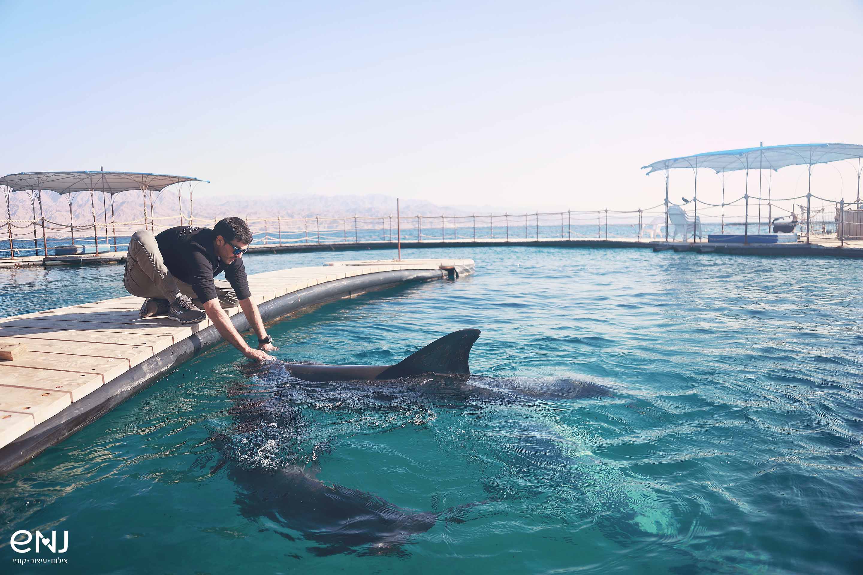 מעובד גבוה.jpg