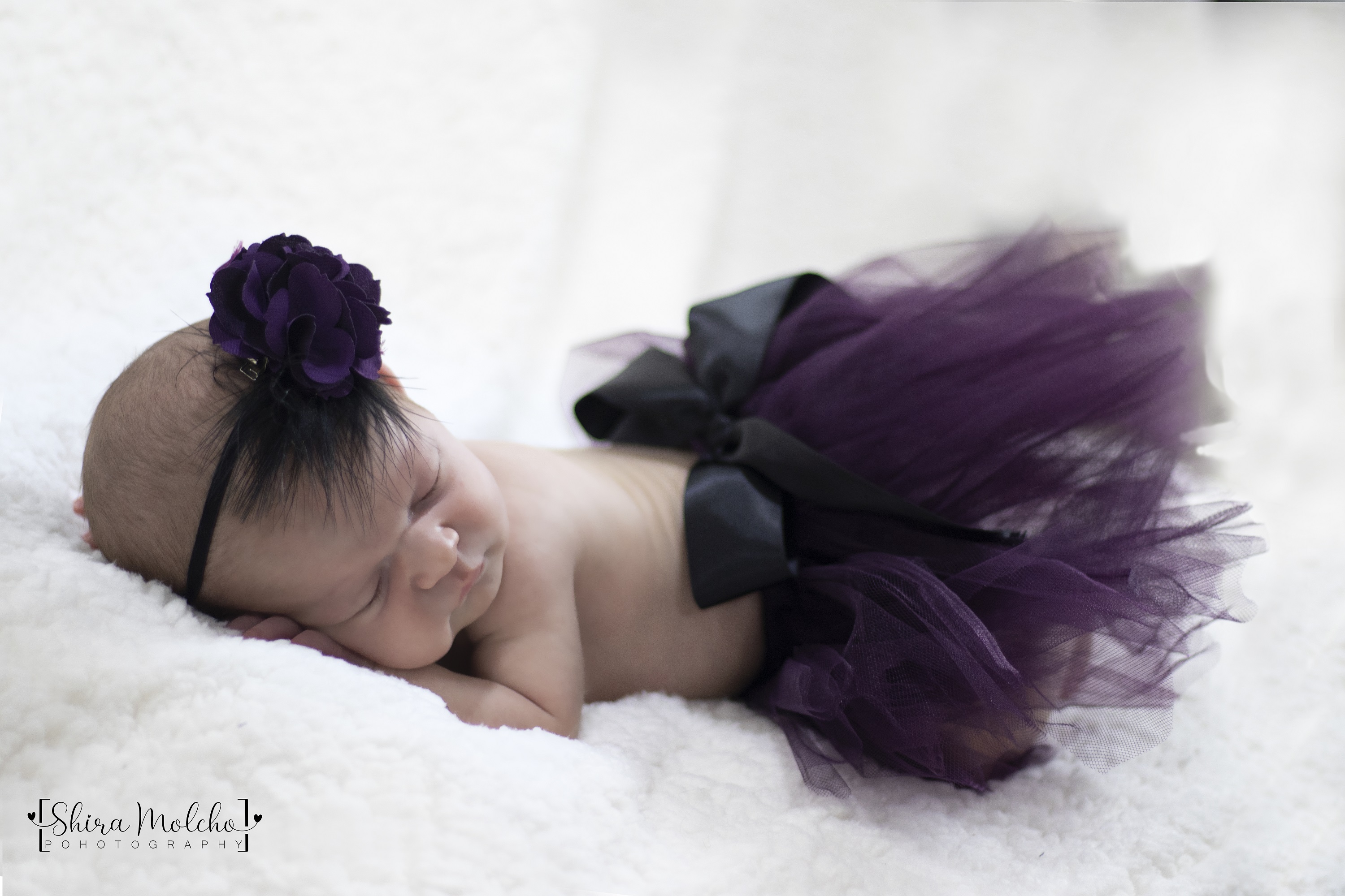 מעובד עם לוגו.jpg