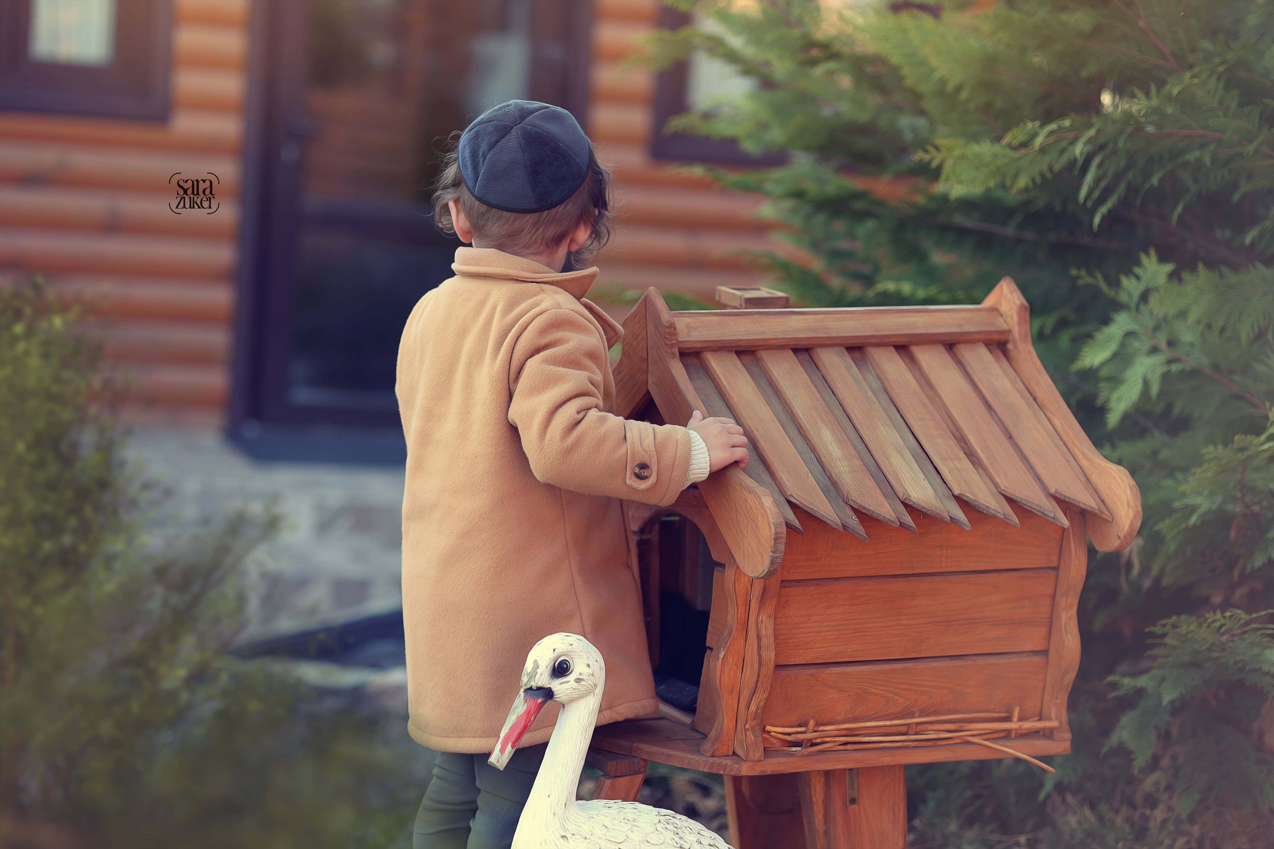 מעזיבוז (45).jpg