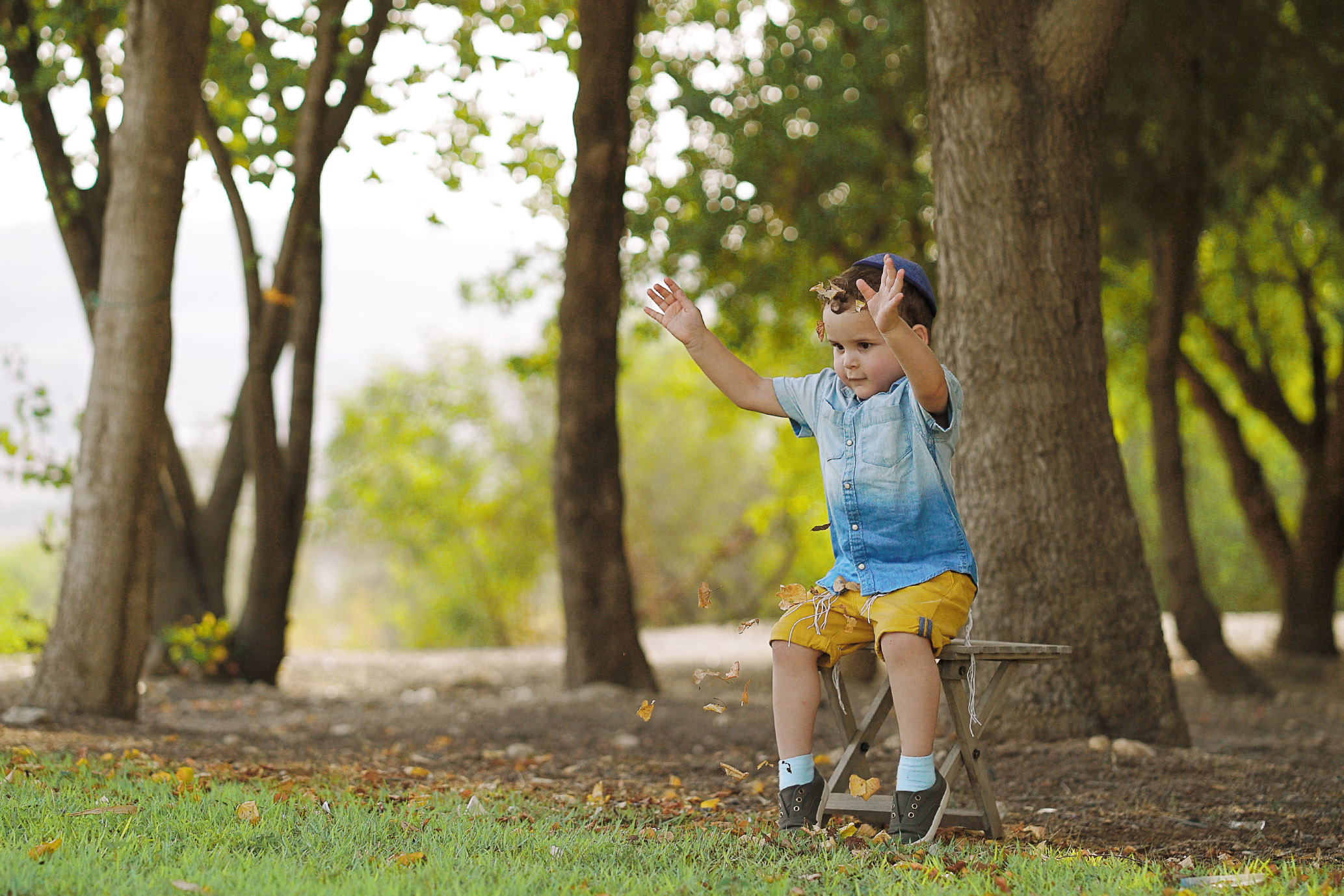 מעיף עלים.jpg