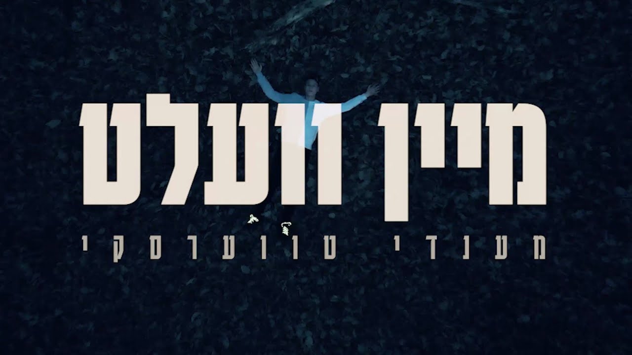 מענדי טווערסקי - מיין וועלט.jpg