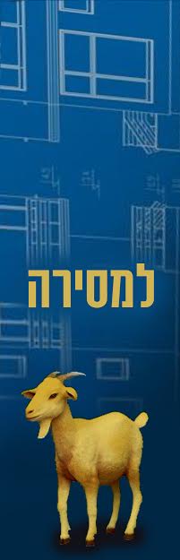 מעצבת פנים_  טיזר.jpg