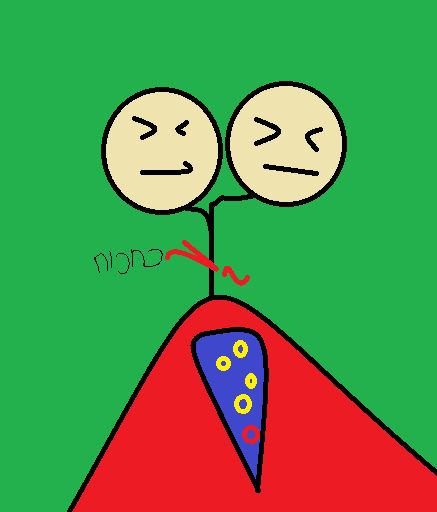 מעשה באדם עם שני ראשים2.JPG