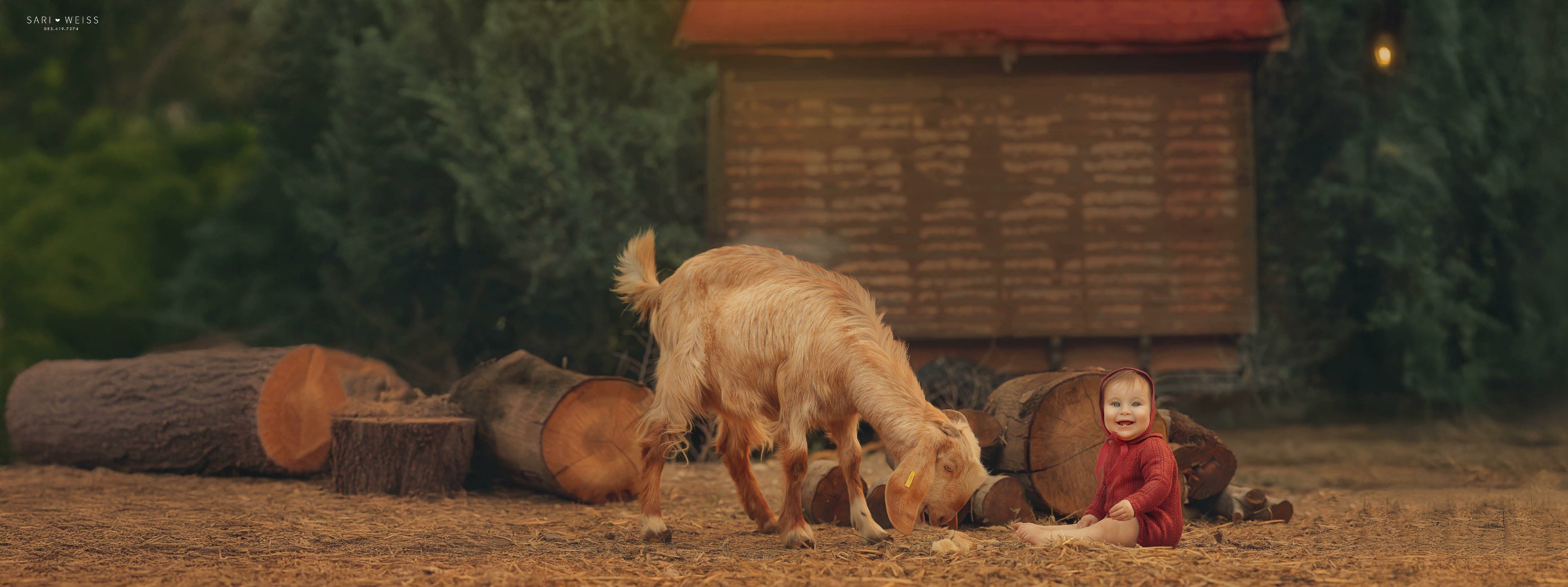 מפעל הפורמטיםאליש שנה14 copy מוק.jpg