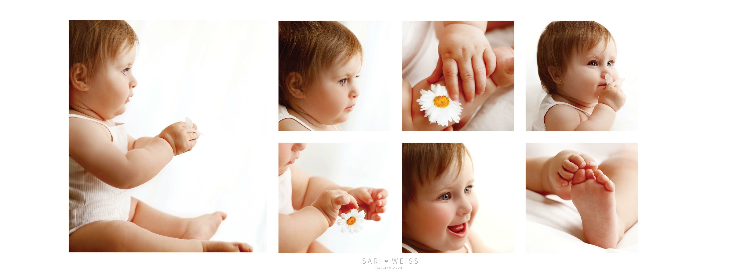 מפעל הפורמטיםאליש שנה2 copy מוק.jpg