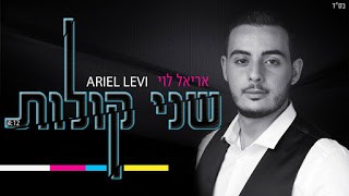 מפעל הפורמטיםאריאל לוי - שני קולות - תמונה.jpg