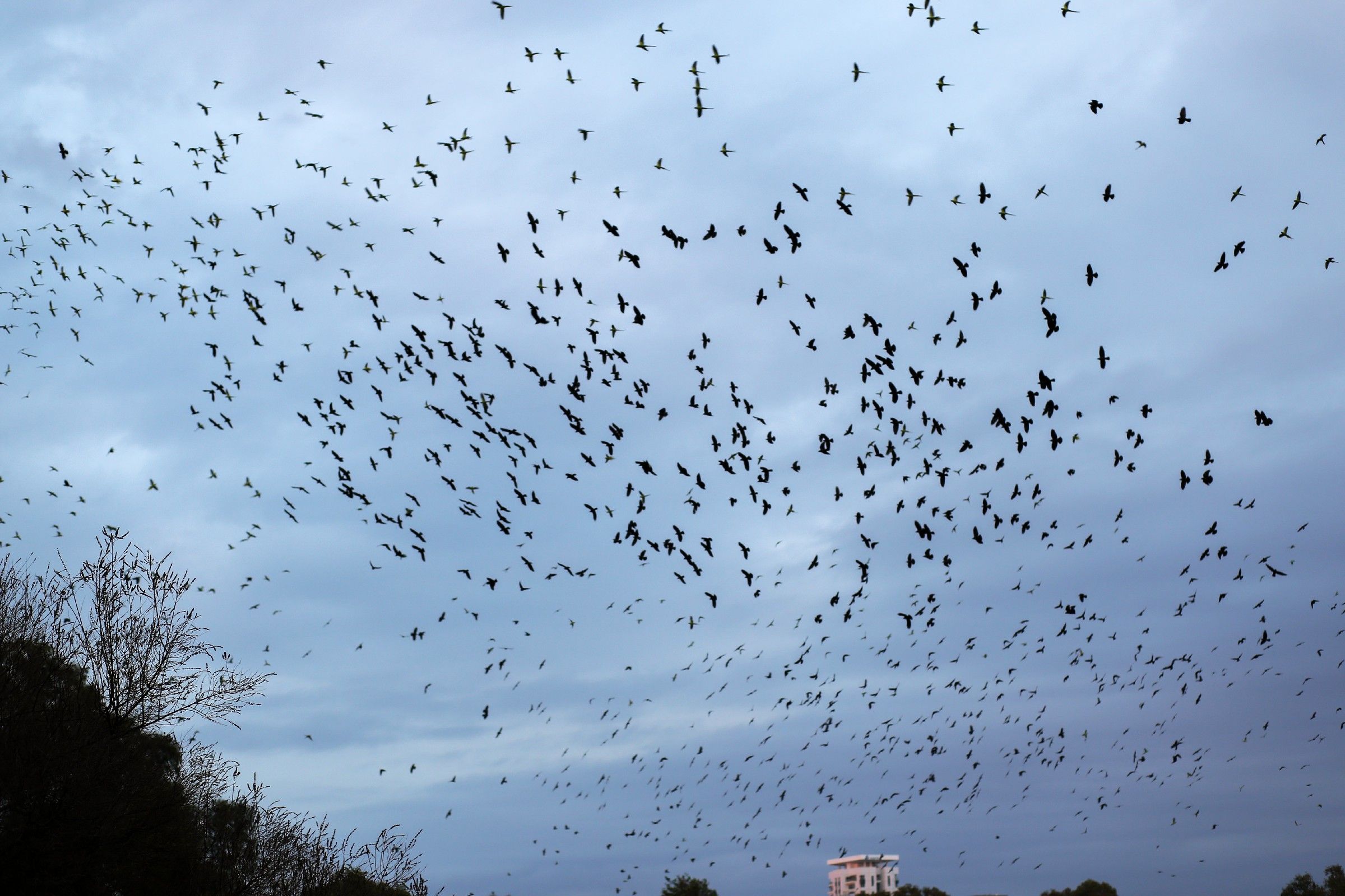 מפעל הפורמטיםטבע.jpg