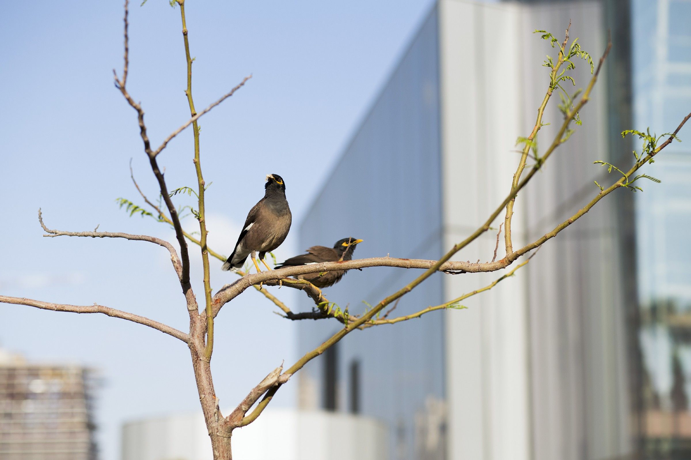 מפעל הפורמטים144.jpg