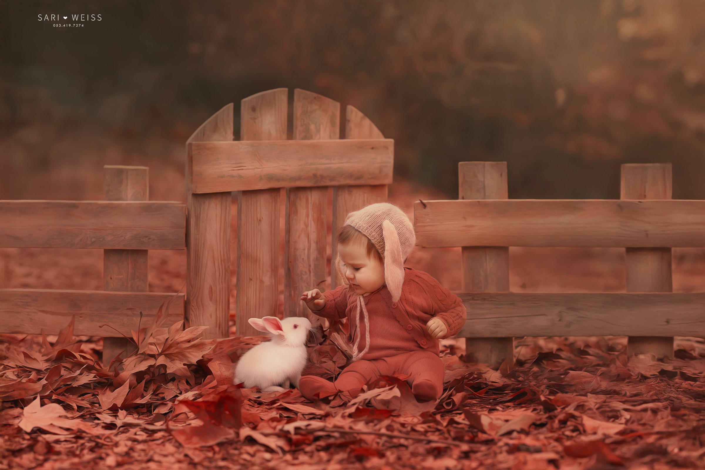 מפעל הפורמטים237A1596 copy 2 מוק.jpg