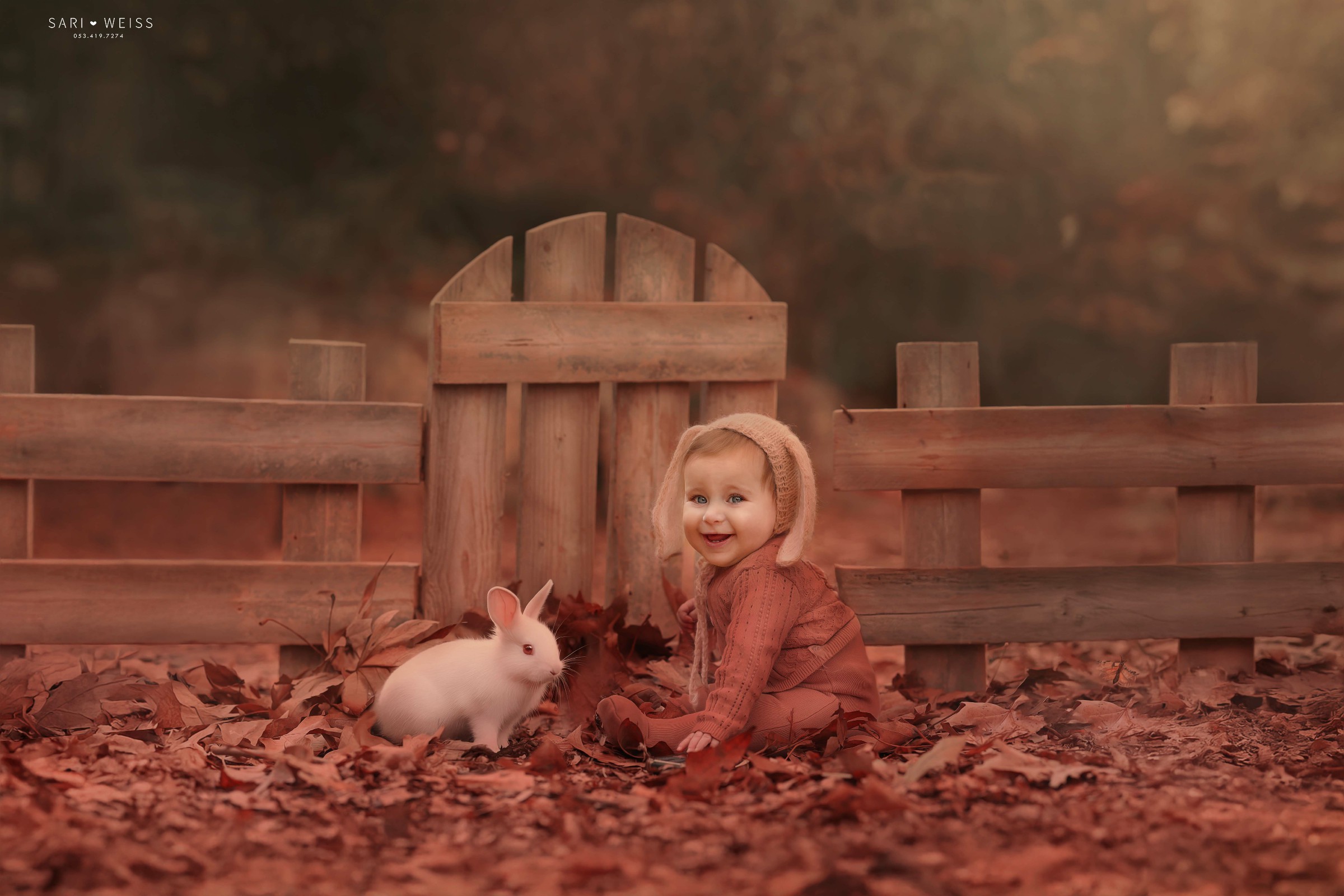 מפעל הפורמטים237A1651 copy 2 מוק.jpg